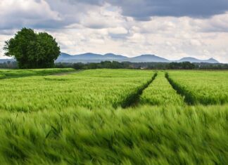 Jaka nasadka do kół? Jaka nasadka do kół?