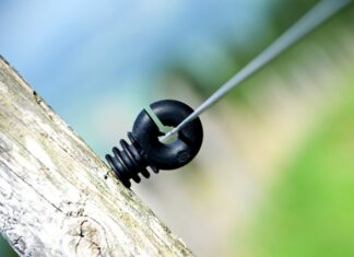 Ile procent Polaków nie ma toalety w domu? Ile procent Polaków nie ma toalety w domu?