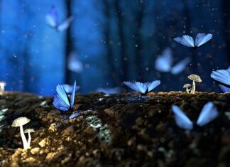 Jak ciąć drewno na plastry?