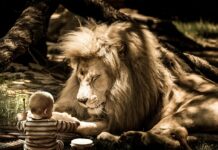 Czy można wymienić jeden bęben hamulcowy? Czy można wymienić jeden bęben hamulcowy?