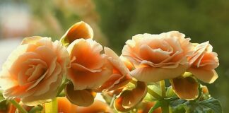 Jaka ukośnica do metalu?