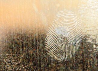 Do czego stosuje się smar silikonowy? Do czego stosuje się smar silikonowy?