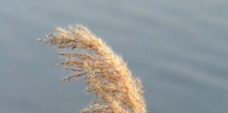 Czym się różnią nasadki udarowe od zwykłych?
