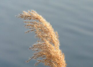 Czym się różnią nasadki udarowe od zwykłych?