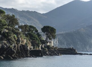 Ile kosztuje kleju na gorąco? Ile kosztuje kleju na gorąco?