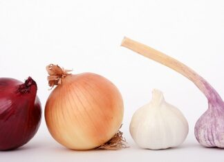 Czy czerwona cebula farbuje jajka? Czy czerwona cebula farbuje jajka?