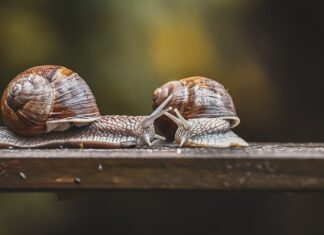 Za co odpowiedzialny jest czujnik położenia wałka rozrządu?