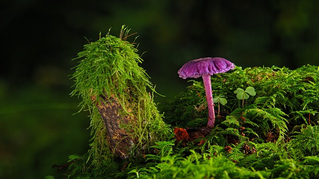 Czy farbę lateksową można malować pistoletem? Czy farbę lateksową można malować pistoletem?