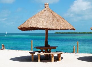 Czy smarować uszczelniacze? Czy smarować uszczelniacze?